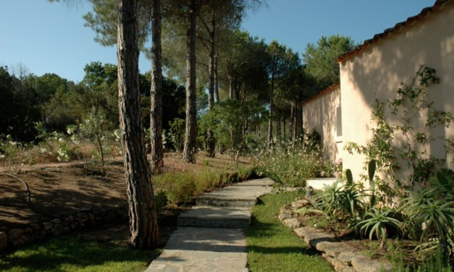 VILLA PINETA (4)